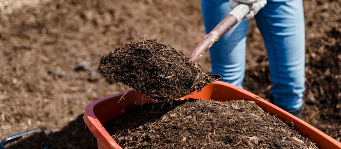 To compost or not to compost, that is the question!